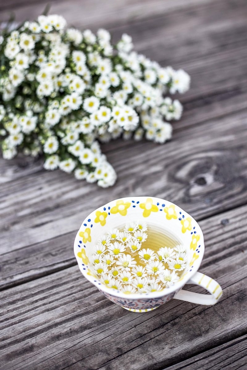 Chamomile Herb